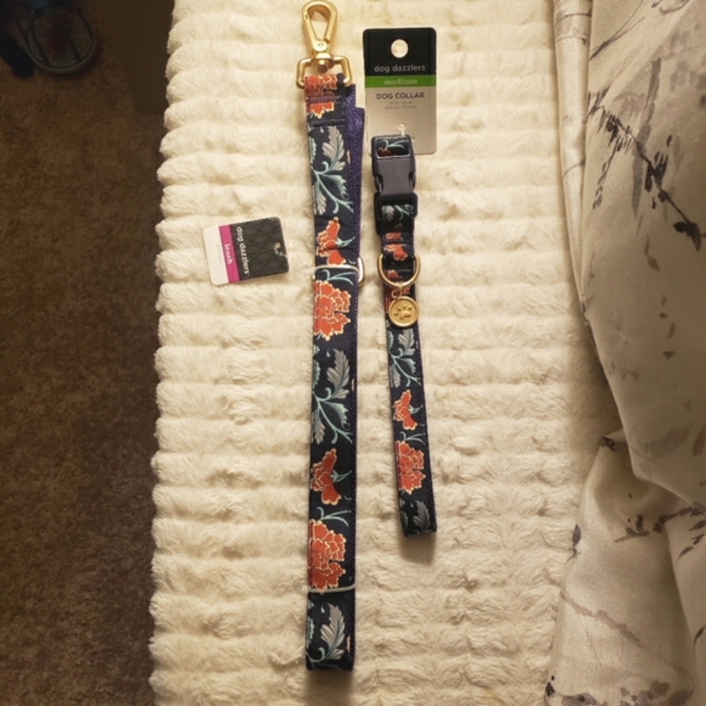 Dog 6 ft leash and medium collar set